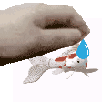 A fish being pet bu the hand meme. T>he fish is the navicon from my website...